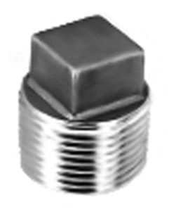 SS190 Square Head Plug Stainless Steel Pipe Fitting
