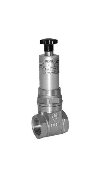 Pneumatically Operated Gate Valves